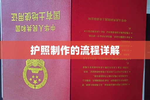 洪湖护照制作的流程详解