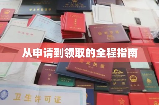 洪湖从申请到领取的全程指南