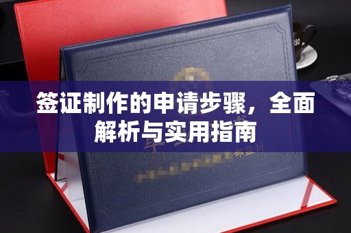 洪湖签证制作的申请步骤，全面解析与实用指南