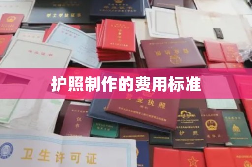 洪湖护照制作的费用标准