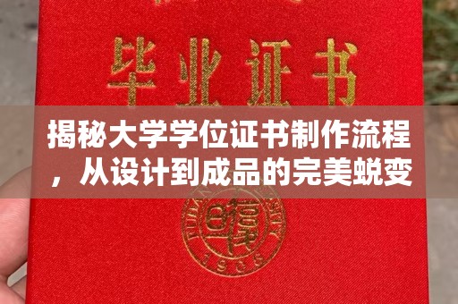 洪湖揭秘大学学位证书制作流程，从设计到成品的完美蜕变