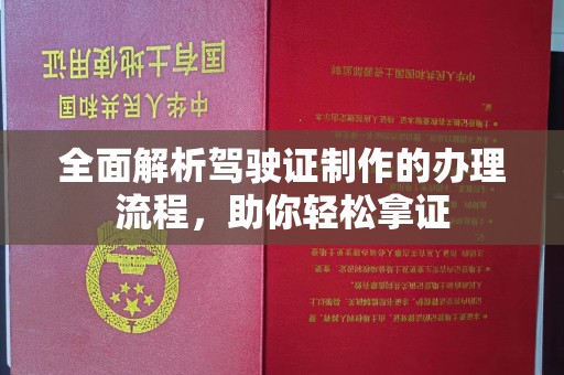 洪湖全面解析驾驶证制作的办理流程，助你轻松拿证