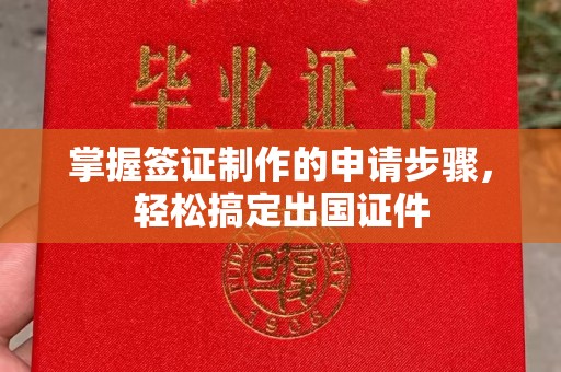 洪湖掌握签证制作的申请步骤，轻松搞定出国证件