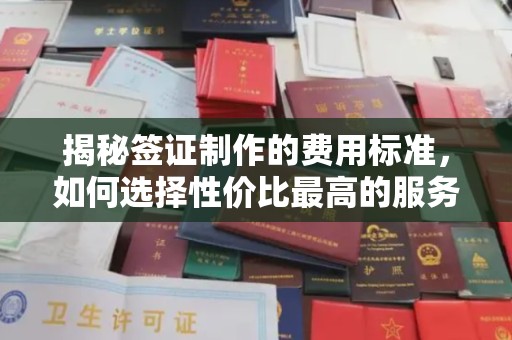 洪湖揭秘签证制作的费用标准，如何选择性价比最高的服务？